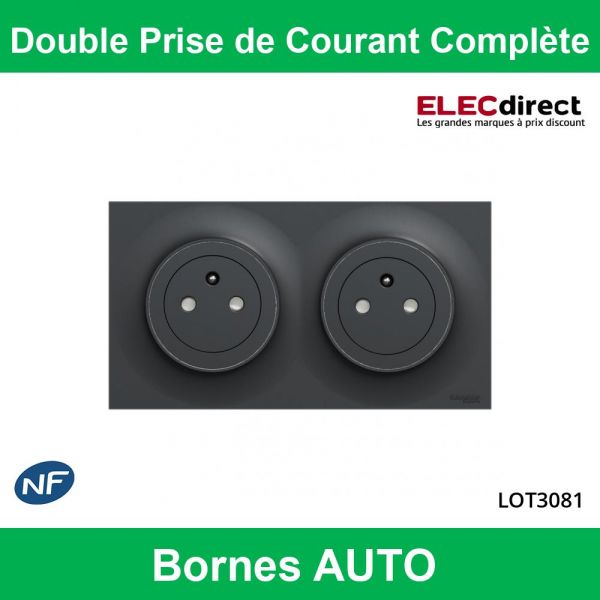 Schneider Odace - Double prise de courant Complète Noire - 2 x 2P+T 16A + Plaque - Réf : LOT3081