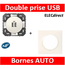 Legrand - Double chargeur USB Type-A dooxie 2,4A finition + plaque blanc - 600343+600801