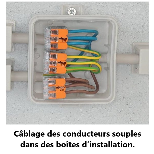 WAGO - Boîte de 30 Bornes auto fils Souple / Rigide 3 x (0.5 à 6mm2) - Réf.: WAG 221-613