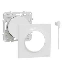 Schneider Odace - Va-et-Vient lumineux/Témoin LED orange + plaque - s520263-s520702