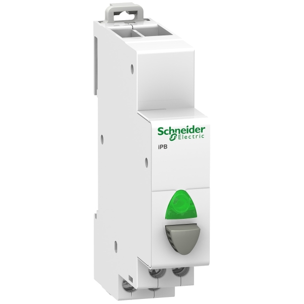 Schneider - Poussoir simple gris 1NO + voyant vert 20A - 230V - SCHA9E18036