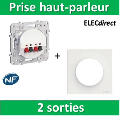 Schneider Electric Prise De Courant 2P+T à Griffes Avec Plaque De Finition  Odace - Prix pas cher