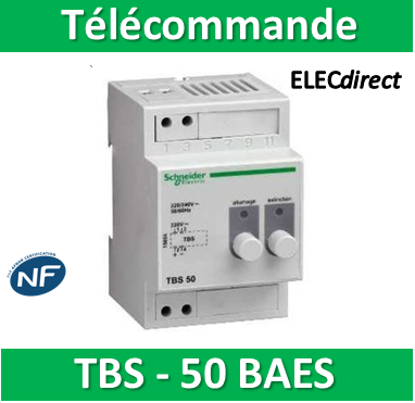 062520 Télécommande BAES modulaire multifonctions SATI connectée non  polarisée IP pour bloc d'éclairage et alarme incendie - professionnel