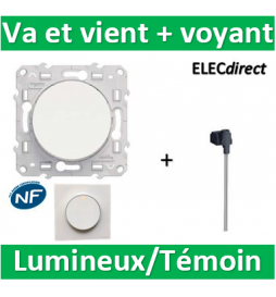 Schneider - Odace - Va-et-Vient lumineux/témoin LED orange - blanc - 10A - 250V - Réf : S520263