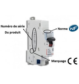Disjoncteur Phase + Neutre - 2A - bornes automatiques - 1 module -  particulier