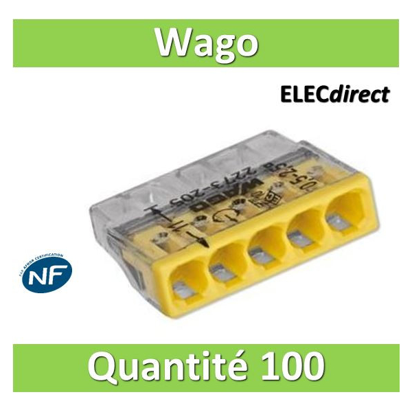 Connecteur Wago ou domino électrique ?