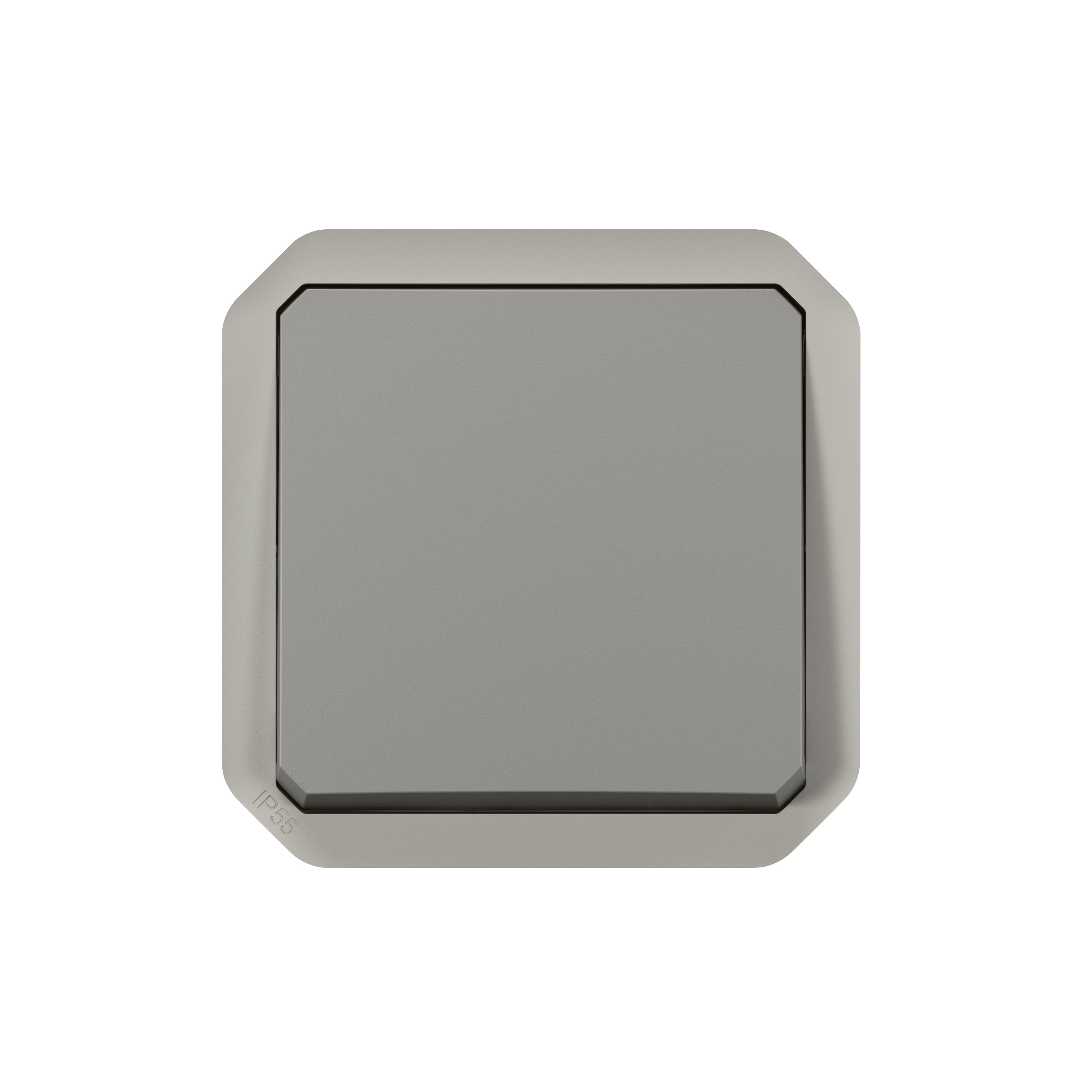 Legrand - Interrupteur / va-et-vient étanche Plexo prêt à poser saillie - 10AX - 250V - IP55 - IK08 - Gris - Réf : 069711L